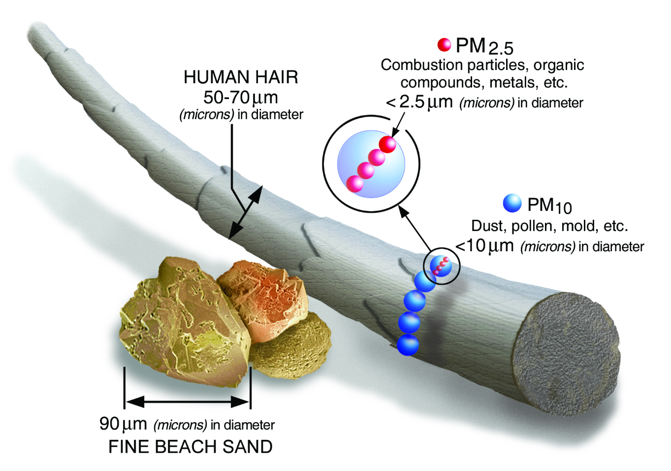 the research focussed on the levels of fine particulate matter